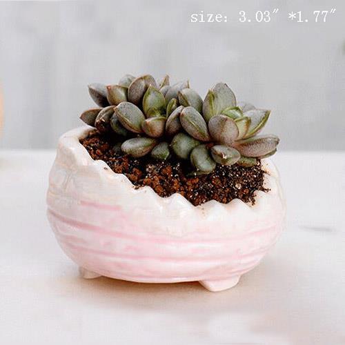 ceramic flower pot prices